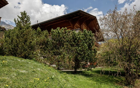 Grindelwald 106: House, Shrub, Home, Cottage, Slope, Garden, Farmhouse, Landscaping, Larch, Yard