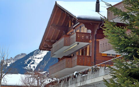 Chalet Perle: Sky, Building, Window, Snow, Tree, Wood, House, Slope, Roof, Residential Area