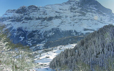 Accommodation:&nbsp;Chalet auf Dem Vogelstein 145.1