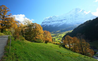 Accommodation:&nbsp;Chalet auf Dem Vogelstein 145.2