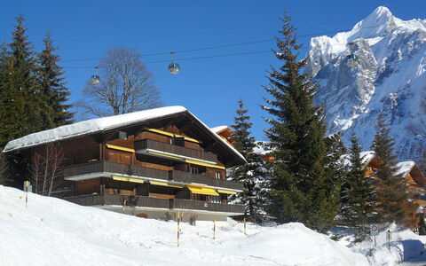 Chalet Bodmisunne: Sky, Snow, Property, Building, Mountain, Tree, House, Slope, Larch, Freezing