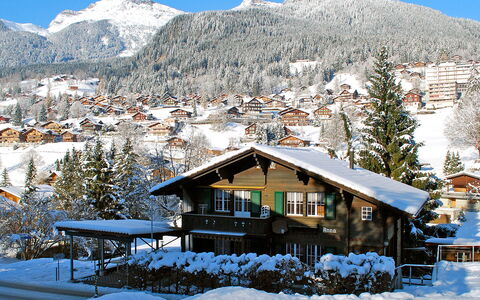 Chalet Anna: Sky, Snow, Mountain, Building, Nature, Plant, House, Tree, Slope, Natural Landscape