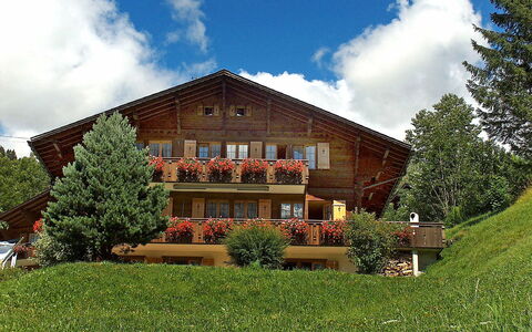 Chalet Doris: Cloud, Plant, Sky, Building, Tree, Window, Natural Landscape, Land Lot, House, Grass