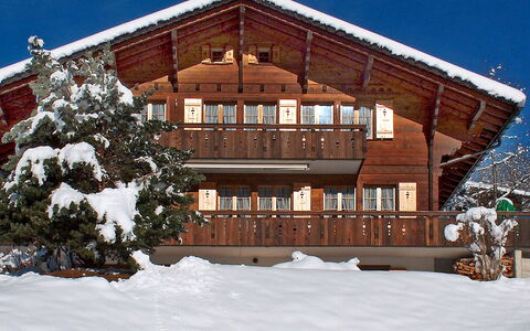 Chalet Doris: Building, Snow, Window, Plant, Sky, Wood, Tree, Slope, House, Cottage