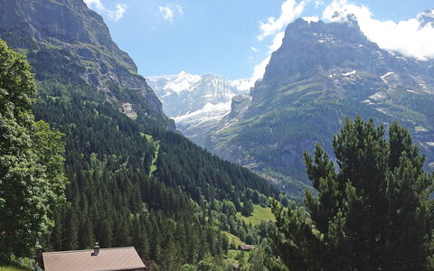 Chalet Doris: Cloud, Sky, Mountain, Plant, Ecoregion, Natural Landscape, Tree, Larch, Highland, Slope