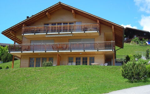 Steinbilla: Sky, Plant, Building, Window, Cloud, Land Lot, Tree, Wood, Grass, Residential Area