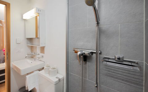 Chalet Chiebrendli: Plumbing Fixture, Bathroom, Wall, Interior Design, Flooring, Floor, Sink, Tap, Plumbing, Lighting