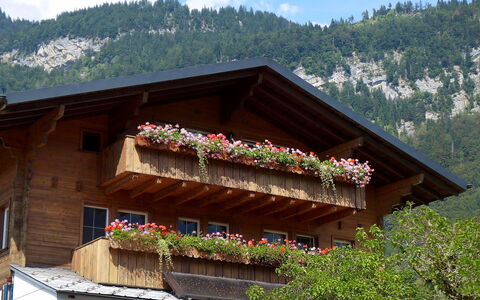 Oltschiblick: Flower, Sky, Cloud, Plant, Building, Window, Mountain, House, Tree, Wood