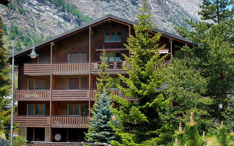 Zermatt 210: Plant, Building, Property, Window, Mountain, Tree, House, Vegetation, Land Lot, Natural Landscape