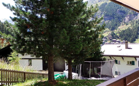 Kondor: Home, House, Property, Tree, Real Estate, Sky, Yard, Architecture, Building, Residential Area