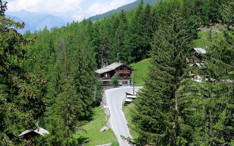 Lärchenheim: Tree, Mountainous Landforms, Biome, Mountain, Natural Landscape, Hill Station, Wilderness, Tropical And Subtropical Coniferous Forests, Forest, Woody Plant