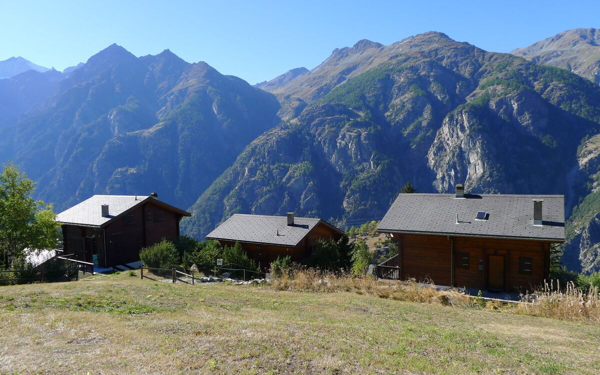 Rietsli