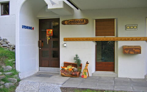 Gentiana (Utoring): Plant, Building, Architecture, Door, Real Estate, Houseplant, Grass, Facade, Shade
