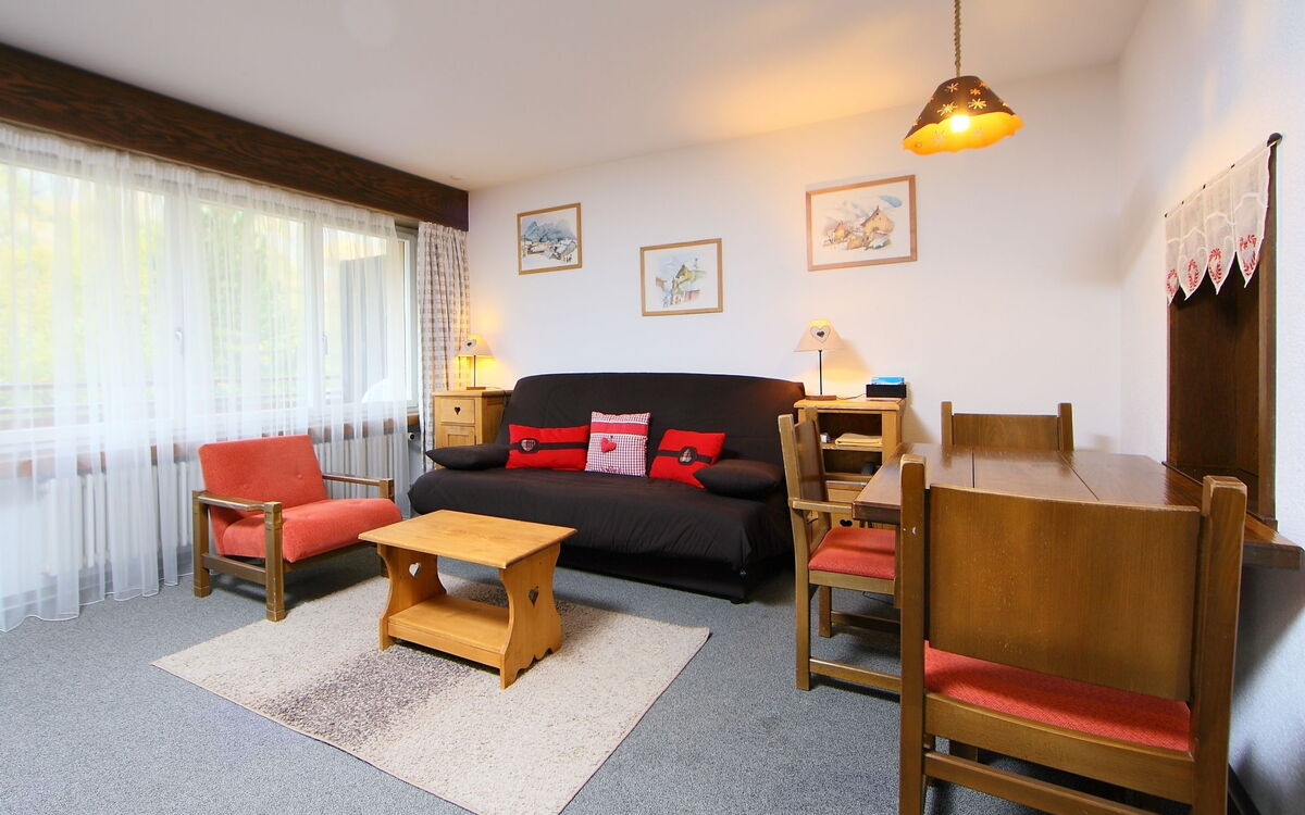 Accommodation:&nbsp;Ringstrasse Apt 115 900.2