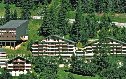 Leukerbad 900: Building, Plant, Natural Landscape, Nature, Botany, Natural Environment, Tree, Land Lot, Slope, Vegetation