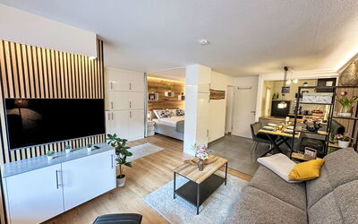 Ringstrasse Apt 113 900.64: Furniture, Interior Design, Flooring, Couch, Floor, Room, Ceiling, Living Room, Television, Apartment