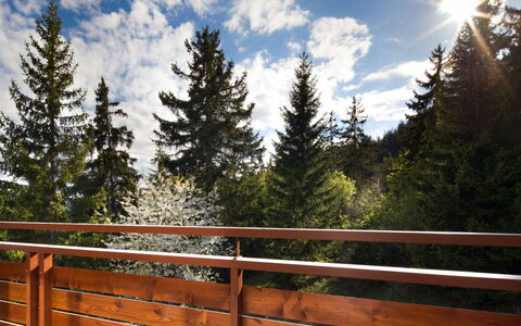 Tsaumiau A22: Building, Cloud, Sky, Property, Plant, Window, House, Land Lot, Road Surface, Grass