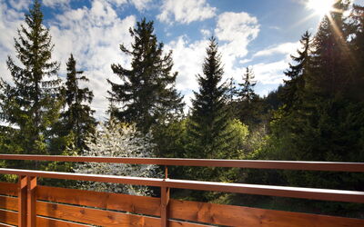 Accommodation:&nbsp;Tsaumiau A22 120.7