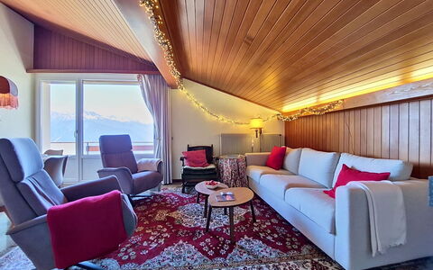 Accommodation:&nbsp;Clairière des Barzettes A16 155.9