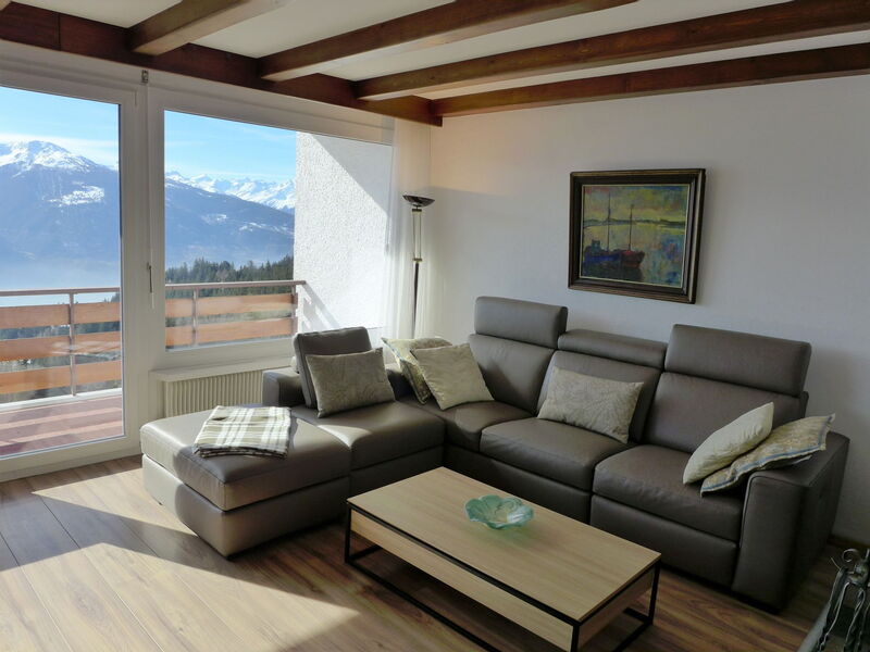 Accommodation:&nbsp;Clairière des Barzettes B14 155.7