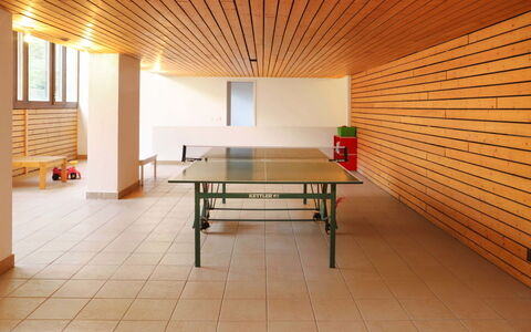 Crans-Montana 180: Table, Furniture, Building, Plant, Wood, Interior Design, Tree, Flooring, Floor, Shade