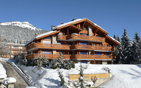 Résidence le Chalet 5: Sky, Snow, Building, Mountain, Slope, House, Tree, Wood, Freezing, Landscape