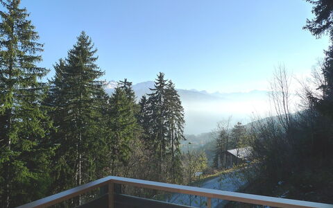 Yuca B Apt. 28: Sky, Tree, Wilderness, Atmospheric Phenomenon, Natural Environment, Biome, Mountain, Morning, Cloud, Woody Plant