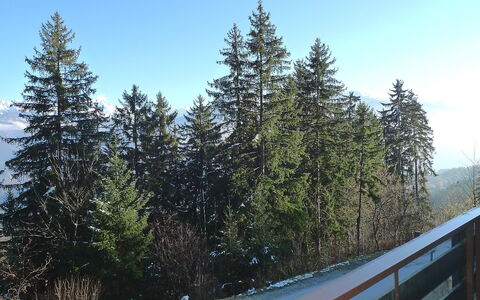 Yuca B Apt. 28: Tree, Snow, Woody Plant, Evergreen, Wilderness, Lodgepole Pine, Natural Environment, Biome, Winter, Plant