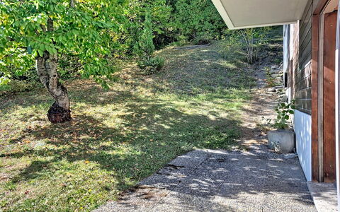 Yuca B Apt. 28: Grass, Green, Shrub, Garden, Groundcover, Lawn, Walkway, Backyard