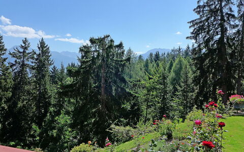 Crans-Montana 353: Nature, Vegetation, Wilderness, Mountainous Landforms, Tree, Natural Landscape, Natural Environment, Mountain, Nature Reserve, Biome