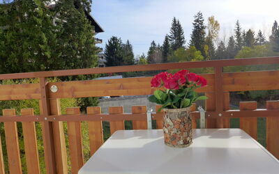 Accommodation:&nbsp;Barzettes-Vacances B 455 Entrée N°16 450.11