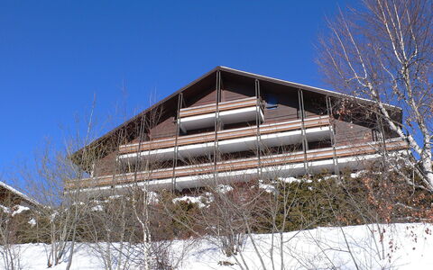San Giorgio a 12: Sky, Building, Plant, Tree, Slope, Twig, Snow, House, Wood, Rectangle