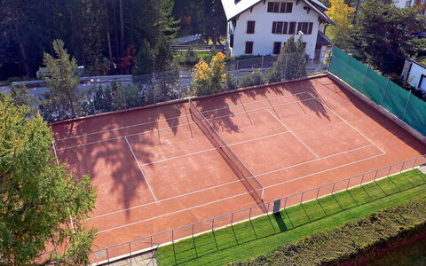 Crans-Montana 530: Plant, Building, Window, Slope, Wood, Tree, Land Lot, Urban Design, House, Grass