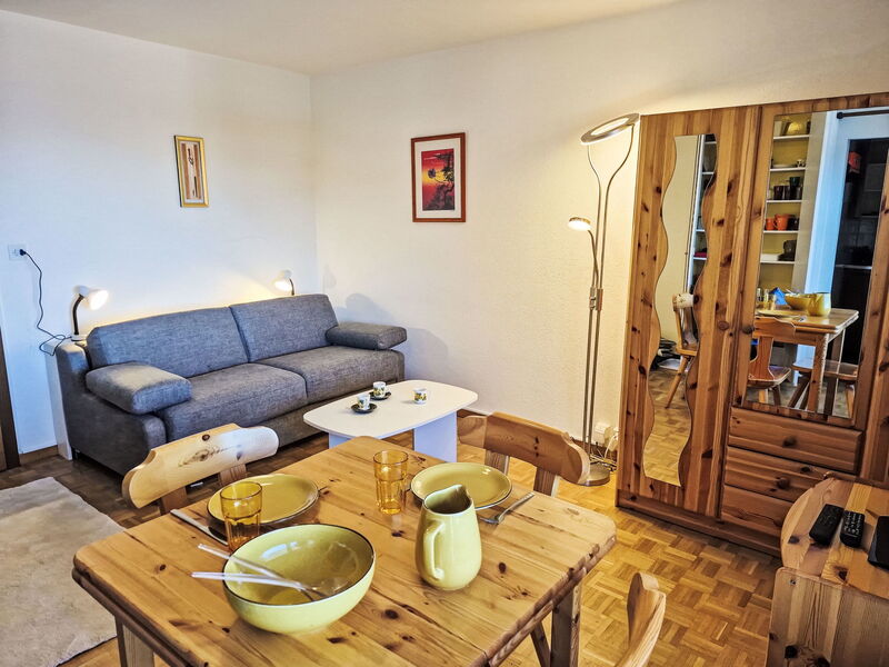 Accommodation:&nbsp;Cransalpin Apt. 3 Secteur 1 530.4