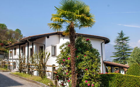 Piazzogna 100: Sky, Plant, Building, Property, Window, Tree, House, Arecales, Flower, Wall
