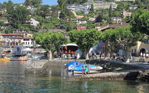 Ascona 250: Harbor, Water Transportation, Town, Waterway, Marina, Boat, Water, Tree, Vehicle, Coast