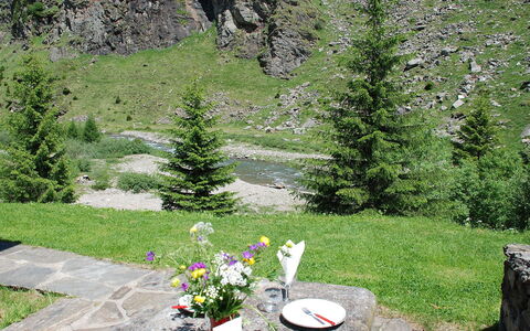 Rustico Dara Cotta: Tree, Natural Landscape, Garden, Grass, Wilderness, Botany, Spring, Plant, Biome, Flower
