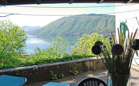 Christa: Property, Botany, Grass, House, Room, Vacation, Landscape, Plant, Real Estate, Restaurant