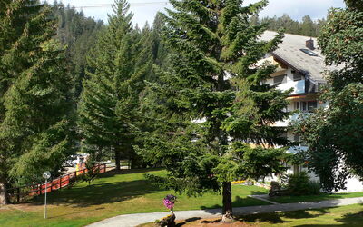 Laax 105
