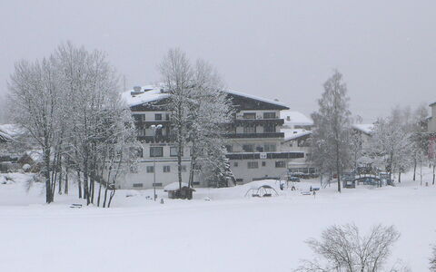 Apt. 13: Snow, Winter, White, Freezing, Tree, Atmospheric Phenomenon, Home, Blizzard, House