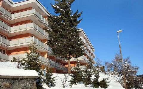 Arosa 100: Sky, Plant, Building, Snow, Branch, Larch, Tree, Evergreen, Urban Design