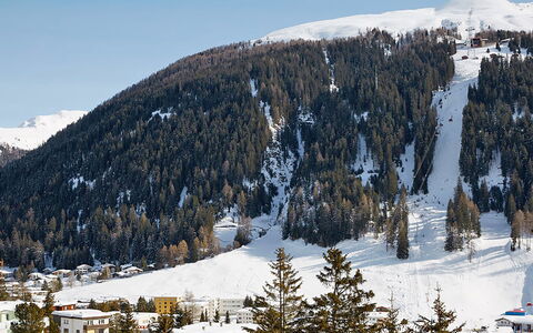 Davos 400: Snow, Mountain, Mountainous Landforms, Winter, Hill Station, Mountain Range, Geological Phenomenon, Wilderness, Tree, Alps