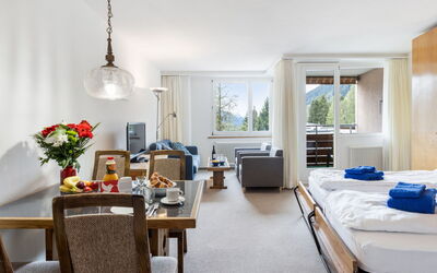Accommodation:&nbsp;Parkareal Apt 703 400.24