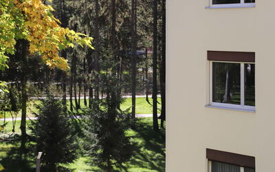 Davos 330: Plant, Property, Window, Building, Shade, Tree, Neighbourhood, Residential Area, Real Estate