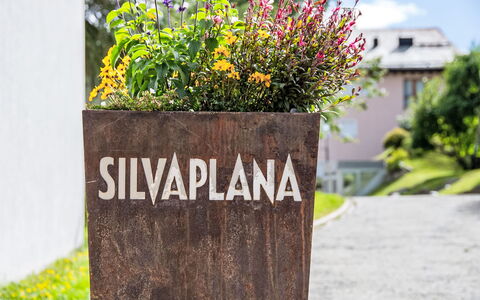 Silvaplana-Surlej 30: Garden, Herbaceous Plant, Landscaping, Flowerpot, Houseplant, Floristry, Floral Design