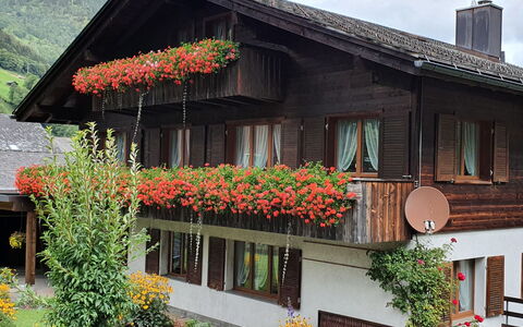 Untertal: Flower, Plant, Building, Window, Property, Sky, Leaf, House, Orange, Architecture