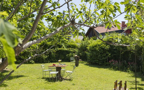 Blanca: Furniture, Sea, Chair, Shade, Balcony, Outdoor Furniture, Eco Hotel, Coast, Deck, Wood Stain