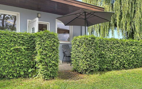 Goetheallee: Shrub, Hedge, Groundcover, Garden, Shade, Evergreen, Landscaping, Backyard, Plantation