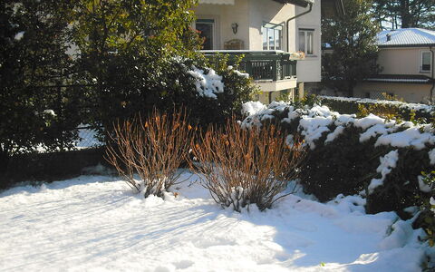 Villa Esperia: Snow, Winter, Home, Property, Freezing, House, Tree, Yard, Real Estate, Grass