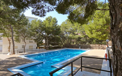 Salou 350: Water, Plant, Swimming Pool, Tree, Shade, Outdoor Furniture, Rectangle, Leisure, Composite Material, Landscape
